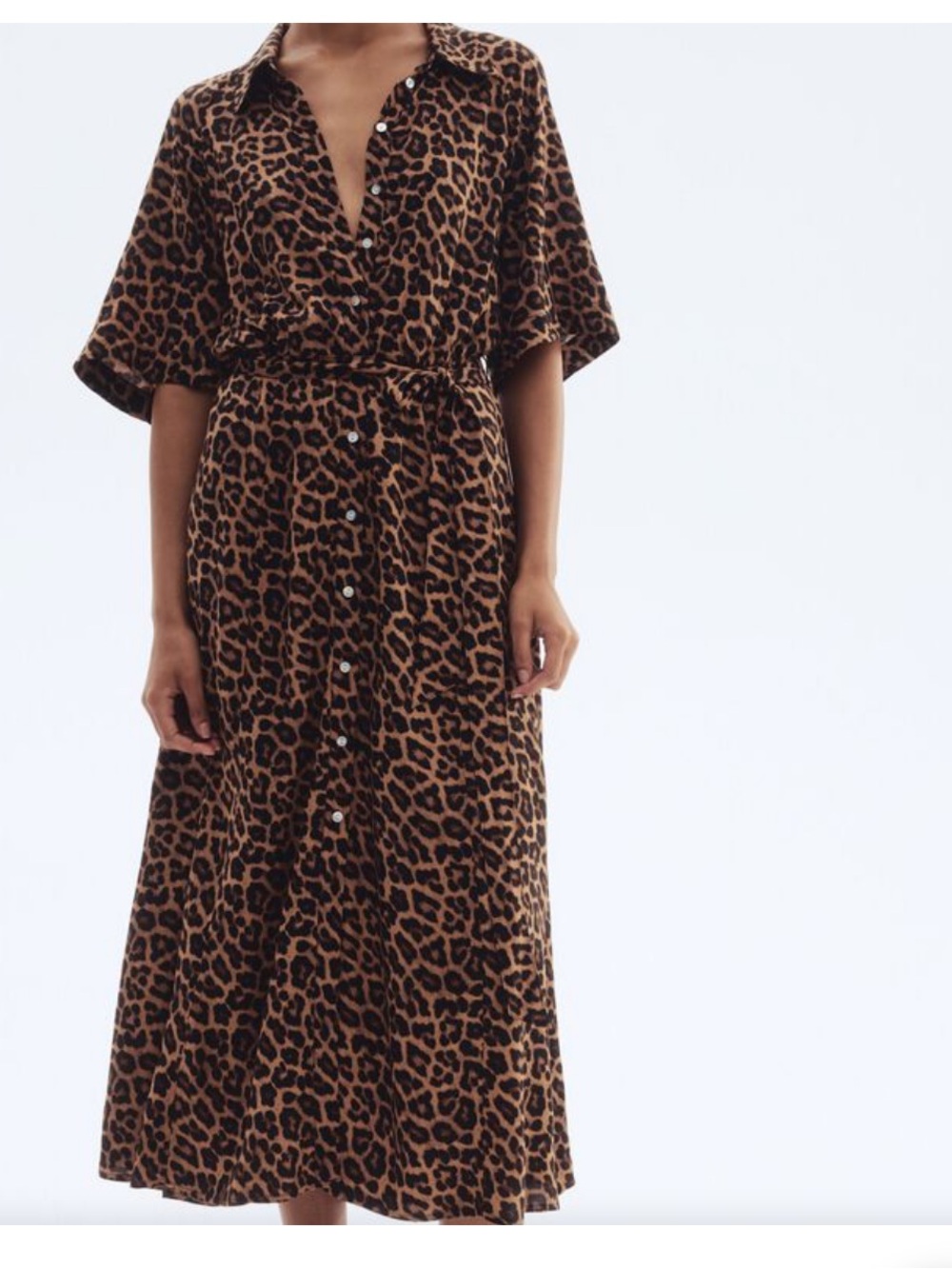H&M Leopard Print Button-Front Maxi Dress - Brown/Black